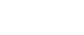 Tech Savvy Solutions
