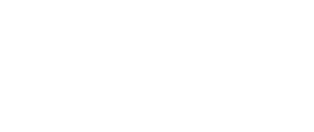 Tech Savvy Solutions